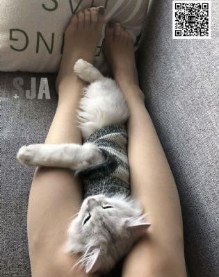 精品一区二区三区av