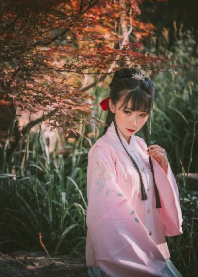 天堂鸟之吻