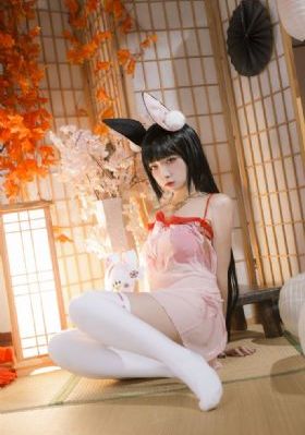 天子寻龙