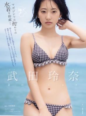 间谍过家家第一季免费观看