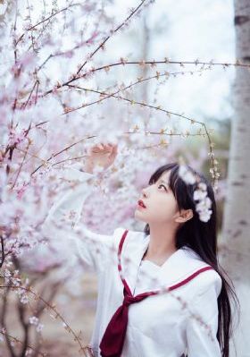 红樱剑 电视剧